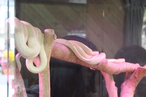 1356155834-121109-145156-IMG_4114_R.JPG
