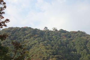 1356156064-121109-150654-IMG_4130_R.JPG