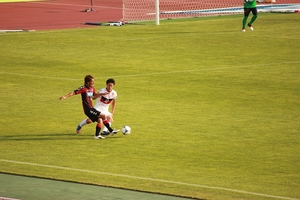1356531828-IMG_7083.jpg