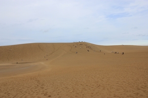 1366031881-IMG_7885.jpg
