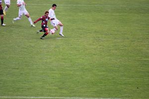 1369746457-130519-170750-IMG_8570_R.JPG