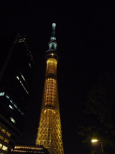 1383056491-P1270156.JPG