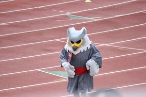 1383866674-130811-140745-IMG_2600_R.JPG