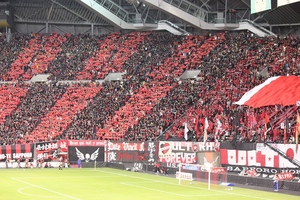 1384697525-IMG_9818.jpg
