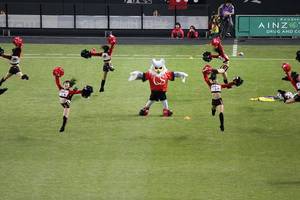 1394940954-IMG_0561.jpg