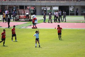 1401716892-140531-120206-IMG_2379_R.JPG