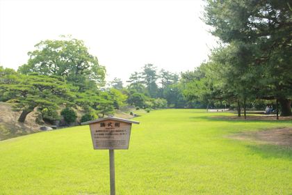 1404650992-140609-085703-IMG_3137_R.JPG