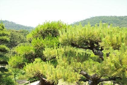 1404651261-140609-094759-IMG_3191_R.JPG