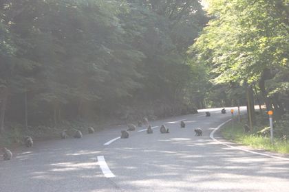 1407158395-140609-164419-IMG_3271_R.JPG