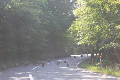 1407243459-140609-164434-IMG_3273_R.JPG