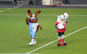1424088468-141026-120607-IMG_9286_R.jpg
