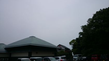 1426687625-140610-104145-DSC_4032_R.JPG