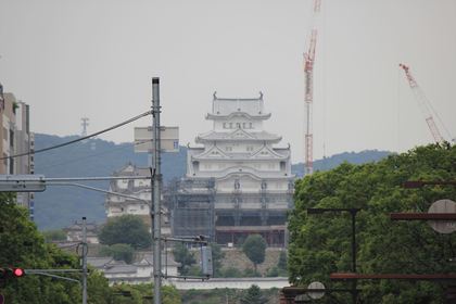 1445520421-140610-160127-IMG_3347_R.JPG