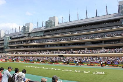 1447942668-150607-133651-IMG_7236_R.JPG