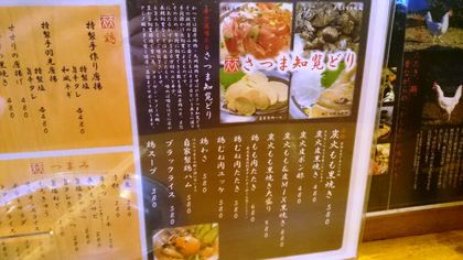 1458356333-0160305-201308-DSC_6995_R.jpg