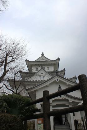 1458736571-0160306-103553-IMG_7156_R.jpg