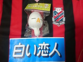 1485571494-DSC_7280_R.JPG