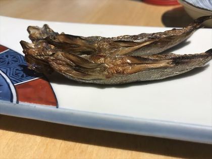 1489065369-IMG_1104_R.JPG