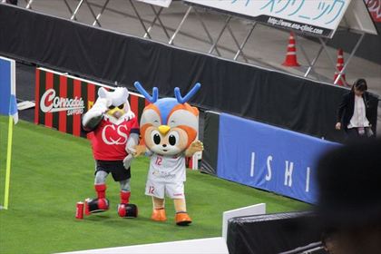 1495364035-IMG_0767_R.JPG