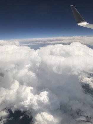 1497967829-1.jpg