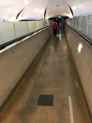 1498344334-1.jpg