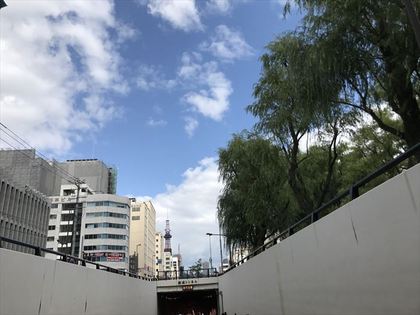 1504010728-IMG_4494_R.JPG