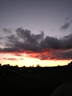 Image146.jpg