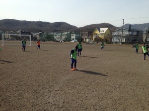 1397993205-Tibiiko-1.jpeg