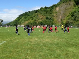 1406029456-pikkoro-2.jpeg