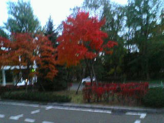 20071028163301.jpg
