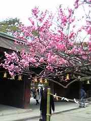 20070306-02.jpg