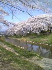 20070415-00.jpg