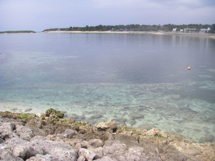 20080413-00.JPG