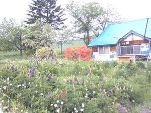 20090606-02.JPG