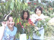 20090705-01.JPG