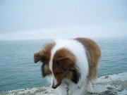 20090814-01.jpg