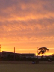20090831-00.jpg