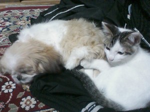 20100403-01.JPG