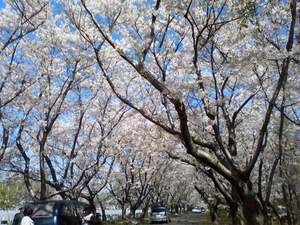 20100529-00.JPG