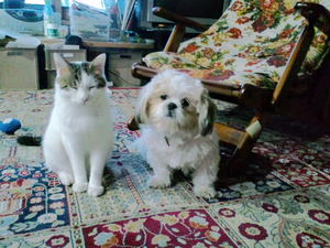 20110103-01.JPG