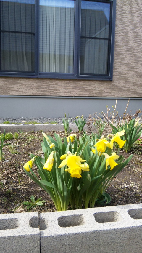 110509_145811.jpg