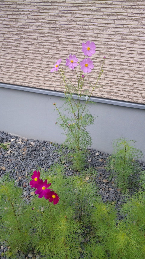 120804_091349.jpg