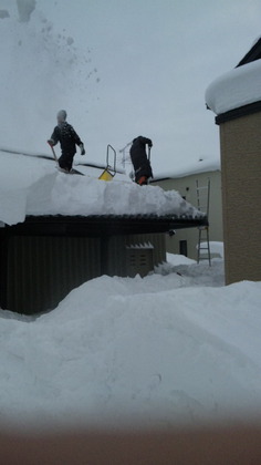 121225_151957.jpg