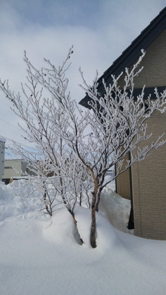 130129_092152.jpg