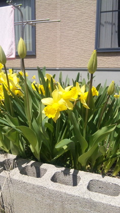 130525_112005.jpg