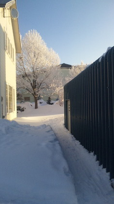 131222_080905.jpg