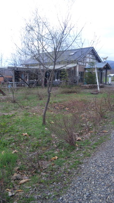 140504_121753.jpg