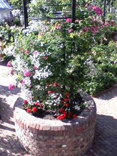 20070701-07.jpg