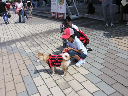 20070819-03.JPG