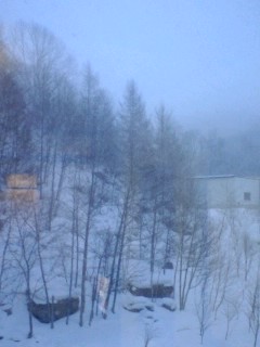080120_0707~0001.jpg